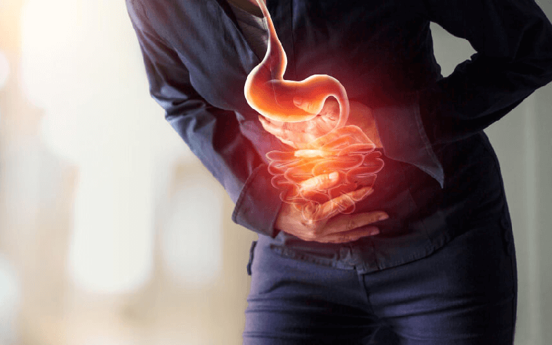 digestion pic